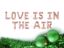 Picture of LOVE IS IN THE AIR Rose gold Balloons