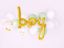 Picture of Boy Gold Script Balloon Arch